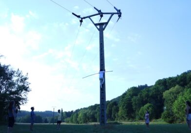 Electric Dance, or How to Talk with Birds