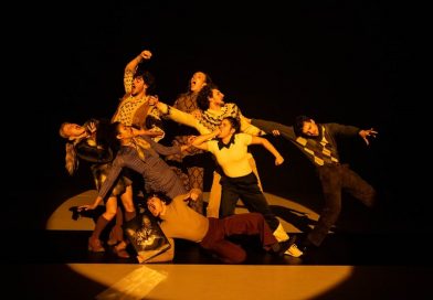 La danse élargit ses territoires : Évolution de la danse contemporaine en France au XXI siècle La danse élargit ses territoires : Évolution de la danse contemporaine en France au XXI siècle
