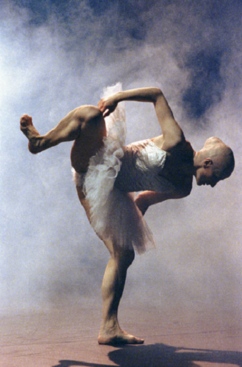 Swan Lake, by Tchaikovsky, choreographed by Mats Ek, 1987 © Lesley Leslie-Spinks